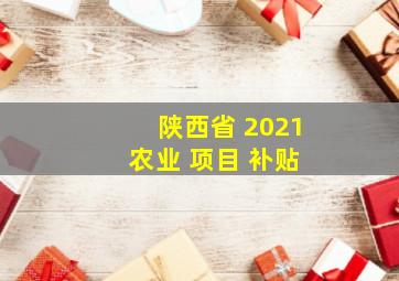 陕西省 2021 农业 项目 补贴